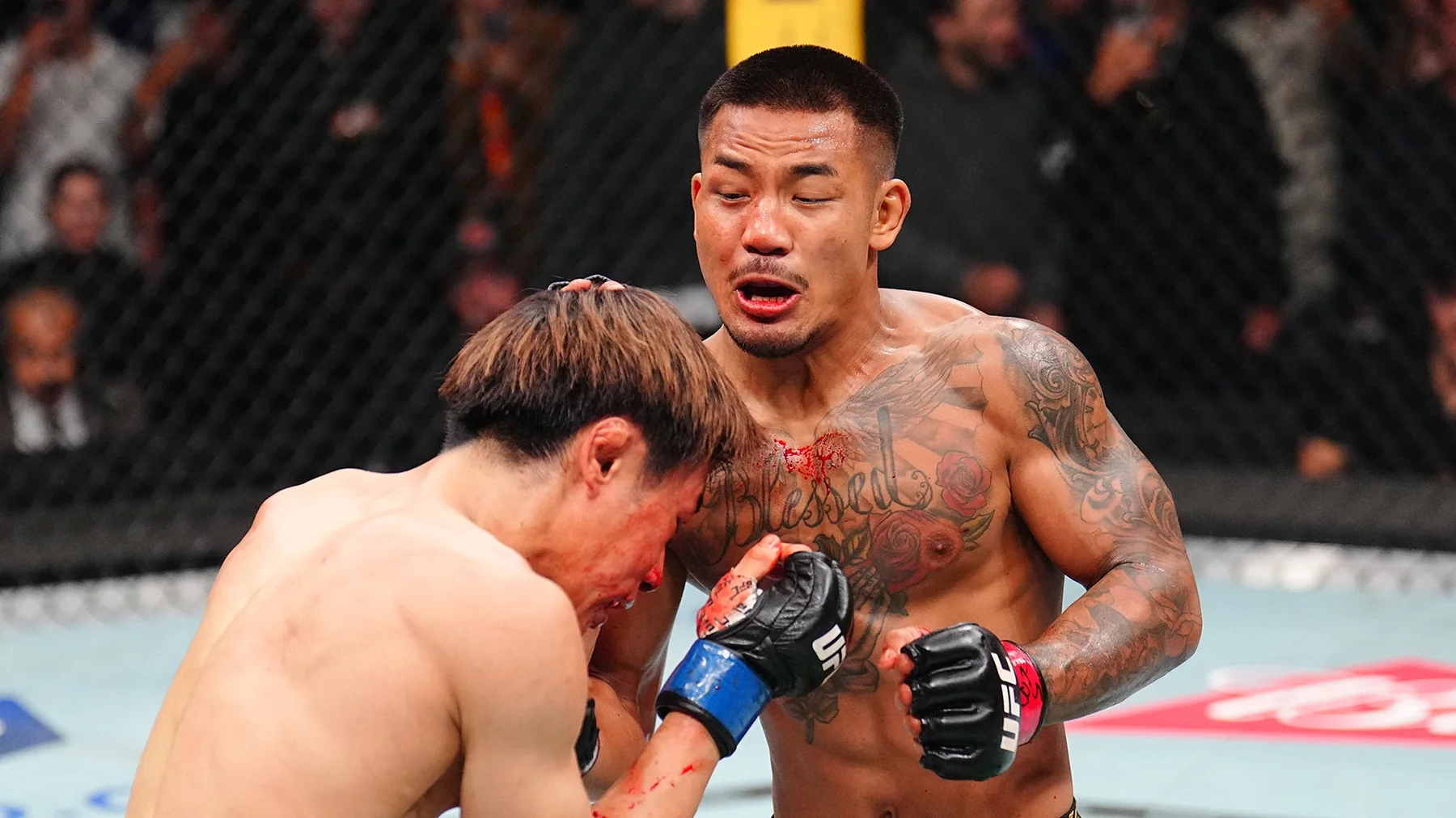 UFC Flyweight Rankings 2026: Champion, Top 15 and Contenders