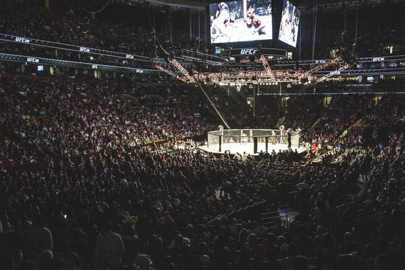 UFC Octagon viewed from elevated arena seating during a live event
